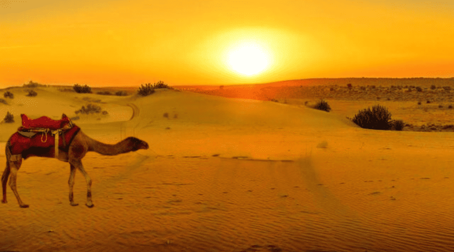 Camel Ride Through Agafay Desert