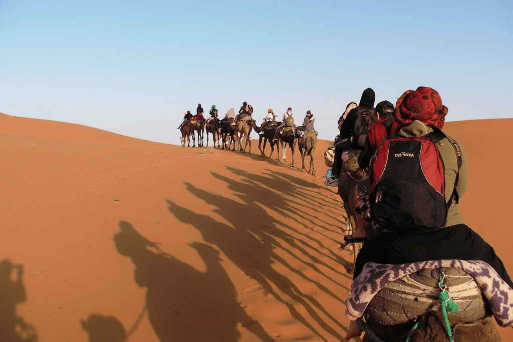 Climat du désert du Sahara