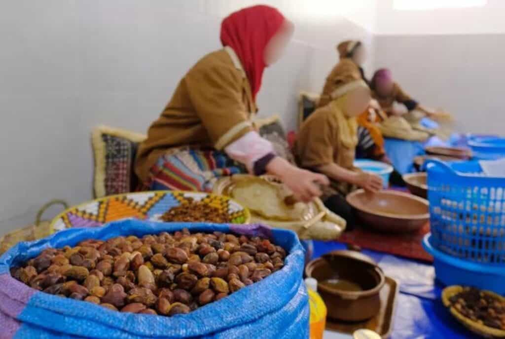 extraction industrielle de l'huile d'argan