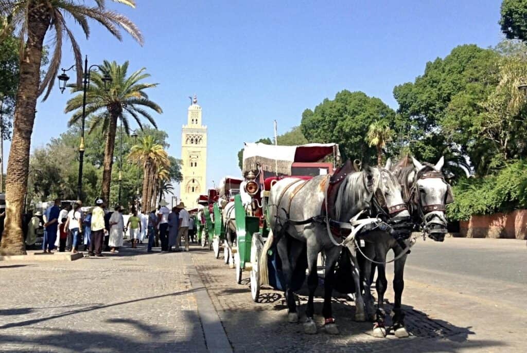 guía de vacaciones en marruecos